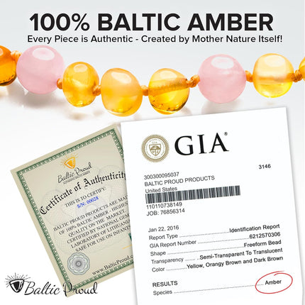 Unisex Honey Rose Polished Baltic Sea Amber Necklace, 12.5 Inches