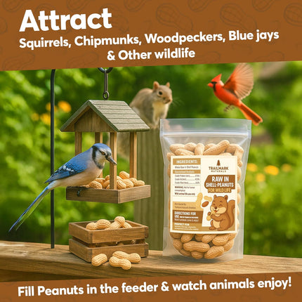3 lb Raw In-Shell Peanuts for Squirrels, Birds and Wildlife