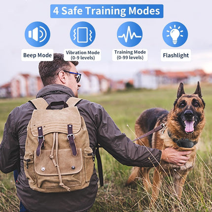 Dog Training Collar with Remote, IPX7 Waterproof E Collar, Brown
