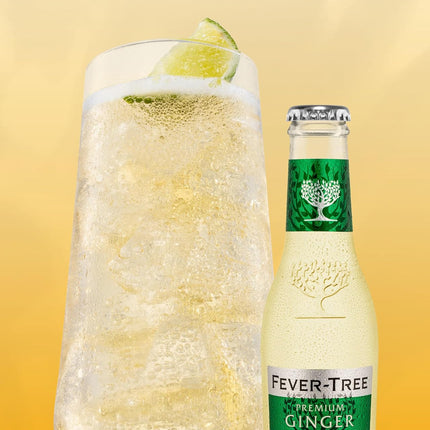 Premium Ginger Ale Mixer, 6.8 fl oz Bottles, Pack of 24