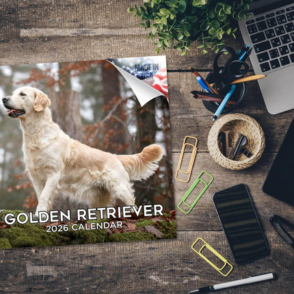 Golden Retriever Calendar 2027 - 16 Month Dog Wall Calendar