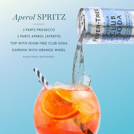Premium Club Soda Zero Calorie Mixer, 5.1 fl oz Cans, Pack of 24