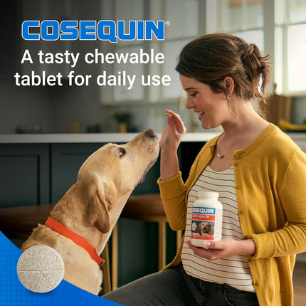 Dog Joint Health Supplement with Glucosamine, Chondroitin and MSM, 132 Chewable Tablets