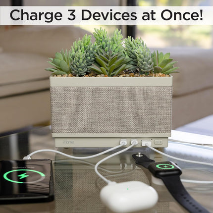 NexWave OndaNex IHome PowerPlant Charging Station, Faux Succulent with USB Charging Station — Smart Tech