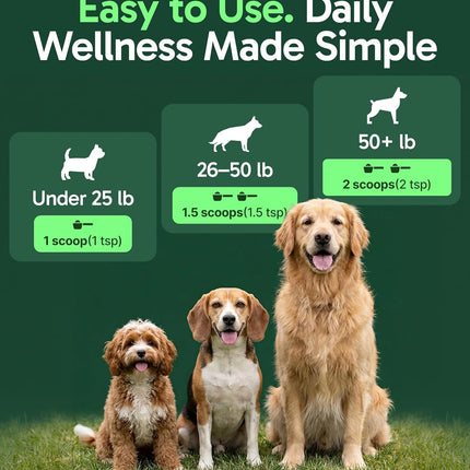 K9 Immune All-Natural Mushroom Powder for Dogs, 30 Servings