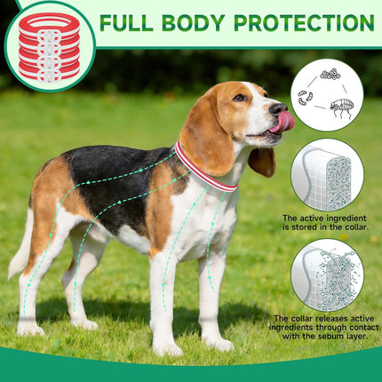 PawHaven RefugioPata 4 Pack Flea Collar for Dogs, Flea and Tick Prevention for Dogs — Pet Supplies