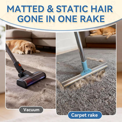 Carpet Rake for Pet Hair Removal