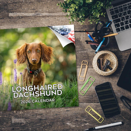 Longhaired Dachshund 2026 16-Month Wall Calendar