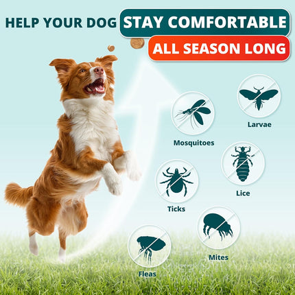 Flea and Tick Prevention for Dogs Chewables