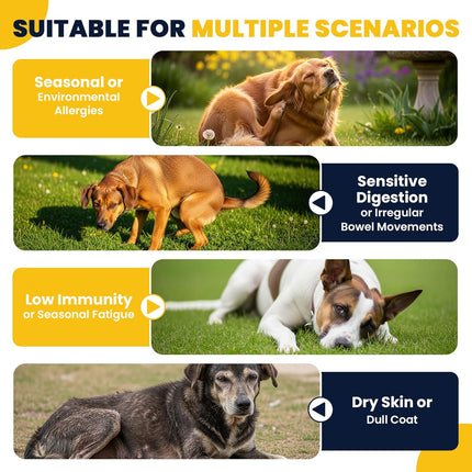 Dog Allergy Chews with Probiotic Support