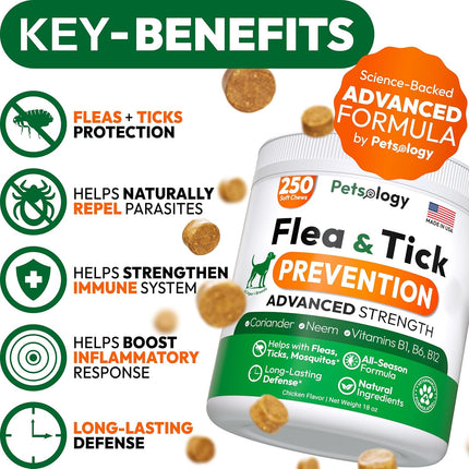 Flea and Tick Prevention Soft Chews for Dogs, 250 Count