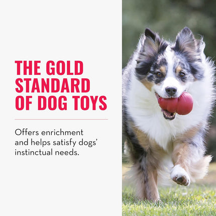 Classic Stuffable Dog Toy - Fetch & Chew Toy for Dogs — Pet Supplies