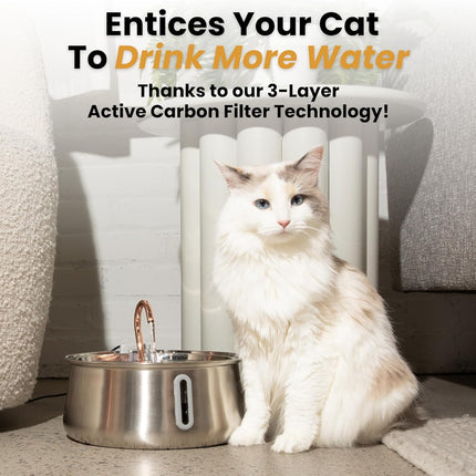 Stainless Steel Cat Water Fountain, 4L Corded Indoor Drinking Fountain