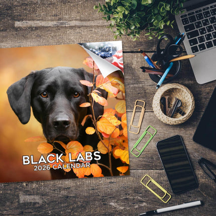 Black Labrador Calendar 2027 - 16 Month Dog Wall Calendar