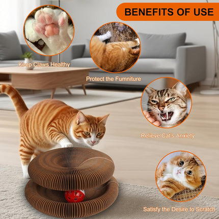 PawHaven RefugioPata Kitty Kurls Cat Toy Magic Organ Cat Scratching Board — Pet Supplies