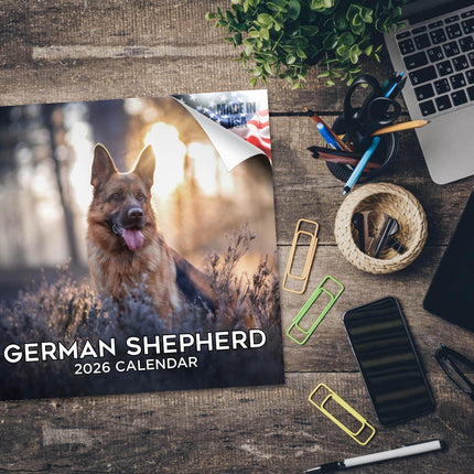 German Shepherd 2026 2027 Wall Calendar, 16-Month Academic Year