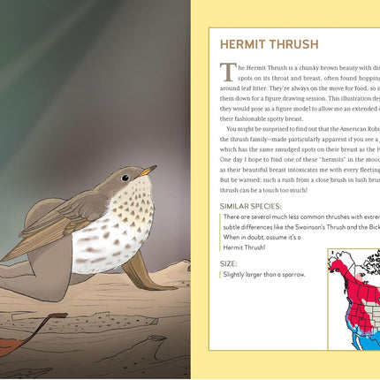 Extremely Accurate Birds: An Anatomically Precise Field Guide to Common Backyard Birds of North America