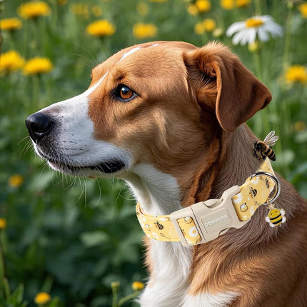 Yellow Bee Adjustable Dog Collar for Dogs, Size M