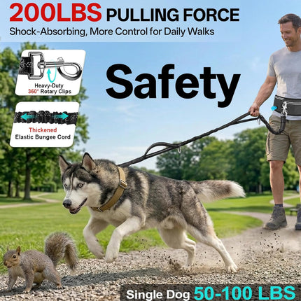Hands-Free Double Dog Leash for Medium and Large Dogs