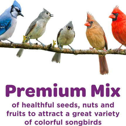 Nut & Fruit Wild Bird Seed, 5 lb