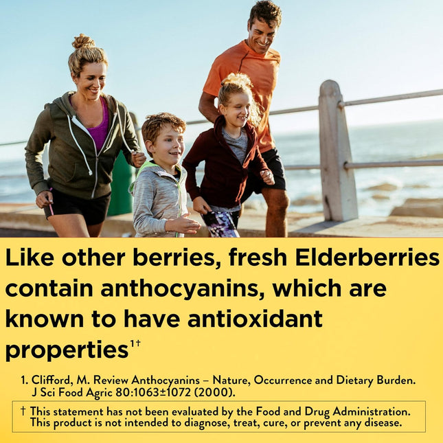 Nature Made Elderberry with Vitamin C and Zinc — 60 Capsules - view 2