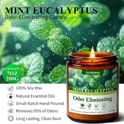 Mint Eucalyptus Odor Eliminating Soy Wax Jar Candle