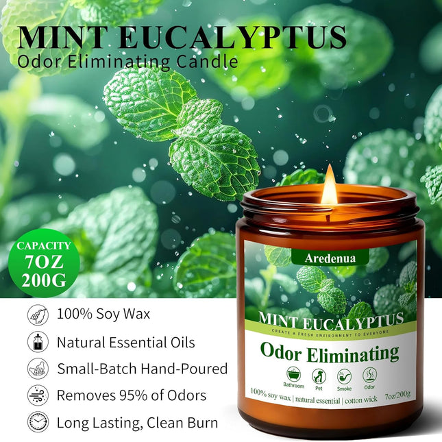 Mint Eucalyptus Odor Eliminating Soy Wax Jar Candle