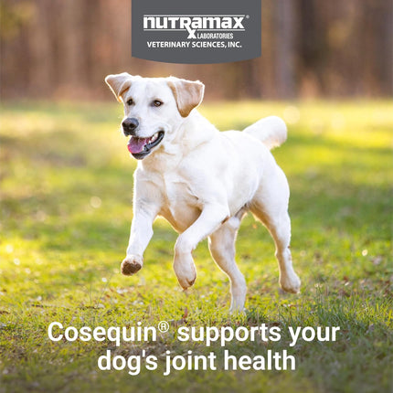 Dog Joint Health Supplement with Glucosamine, Chondroitin and MSM, 132 Chewable Tablets