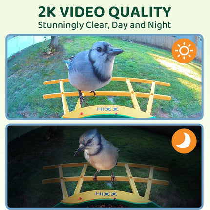 Smart Bird Feeder with 2K Camera and Color Night Vision, Green