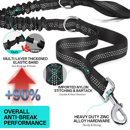 Hands-Free Double Dog Leash for Medium and Large Dogs