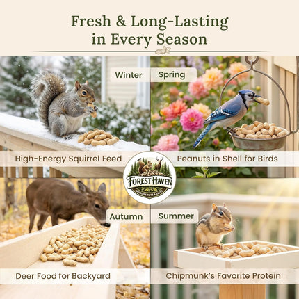 Premium Raw Peanuts for Squirrels - 10 lb Bulk Wildlife Food with Bonus Binoculars