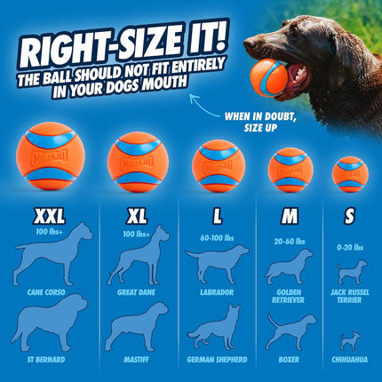 Ultra Ball Dog Toy - Medium Bouncy Fetch Balls for Dogs 20-60 lbs - Durable Rubber Floating Pet Toys - 2.5 in - Pack of 2
