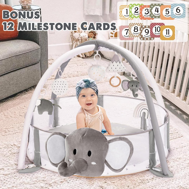 5-in-1 XL Baby Gym, Play Mat & Ball Pit with Milestone Cards