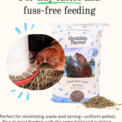 Layer Chicken Feed Pellets