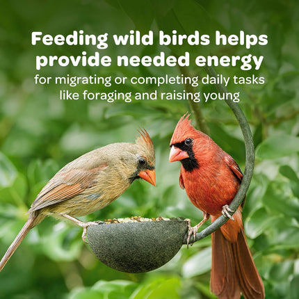 All American Wild Bird Food Seed Blend for Cardinals, Blue Jays, Finches & More, 5 lb