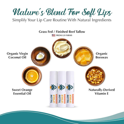 Moisturizing Tallow Lip Balm – Sweet Orange 3-Pack