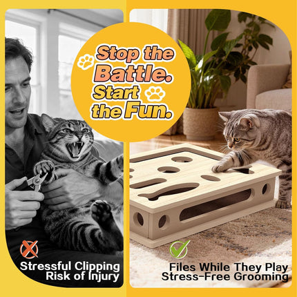 Interactive Cat Scratch Puzzle Enrichment Box