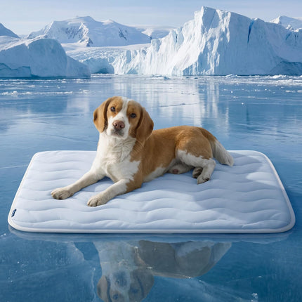Cooling Mat for Large Dogs, Thin Breathable Washable Crate Pad, 35 x 23, Blue