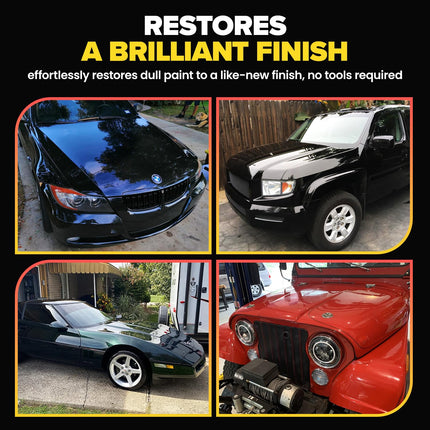 Scratch Repair and Swirl Remover Kit with Buffer Pad, 8.4 fl oz