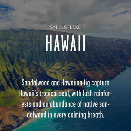 Hawaii Gifts, Hawaii Decor for Home Candle - Tropical Fig & Native Sandalwood, 9 oz Jar
