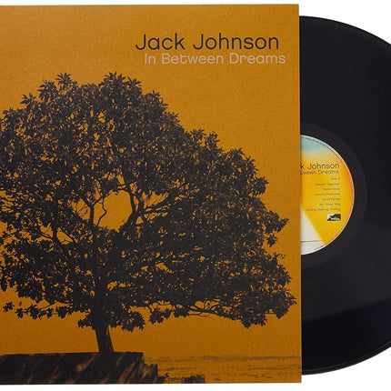 In Between Dreams [Vinyl]