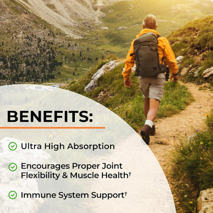 BioSchwartz Turmeric Curcumin 1500mg Joint Support