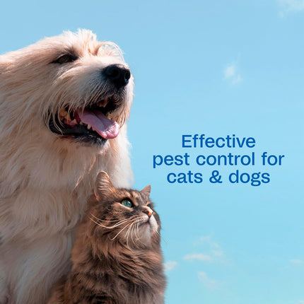 Flea & Tick Shampoo
