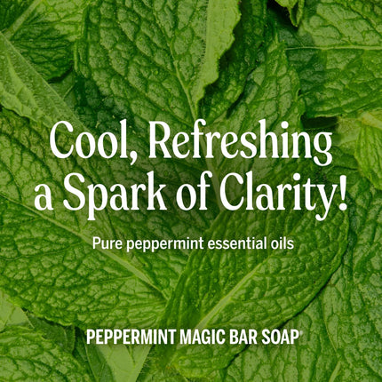 Bronner's Pure-Castile Magic Liquid Soap (Peppermint — Kitchen & Home