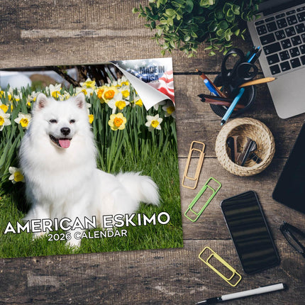 American Eskimo 2026 16-Month Dog Wall Calendar