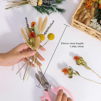 DIY Natural Dried Flower Set in Brown