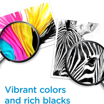 63 Black Ink Cartridge | F6U62AN