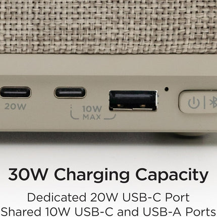 NexWave OndaNex IHome PowerPlant Charging Station, Faux Succulent with USB Charging Station — Smart Tech