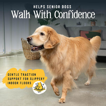 PawHaven RefugioPata DOK TigerToes Premium Paw Grips for Senior Dogs — Pet Supplies