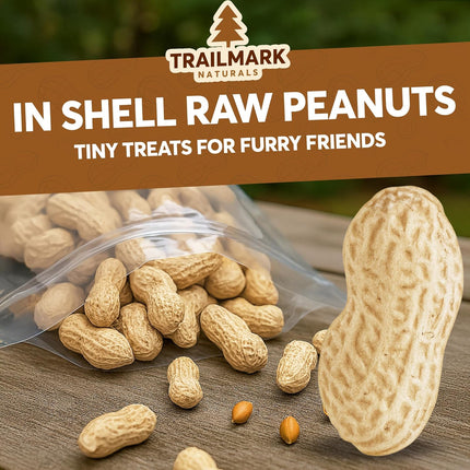 3 lb Raw In-Shell Peanuts for Squirrels, Birds and Wildlife